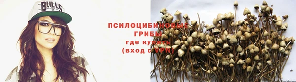 a pvp Протвино
