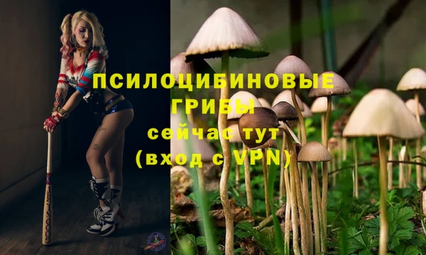 apvp Пролетарск