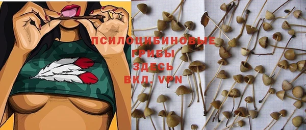 а пвп мука Абинск