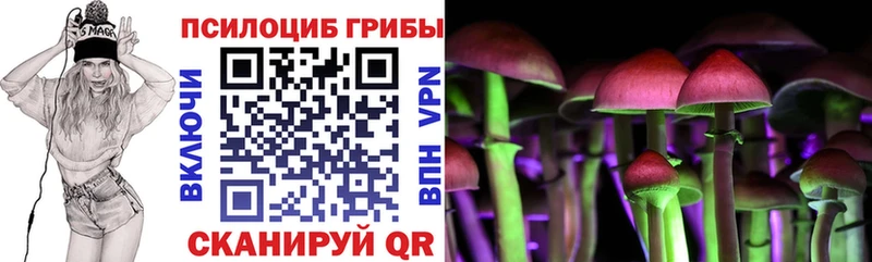 Галлюциногенные грибы прущие грибы  блэк спрут как зайти  Касли 